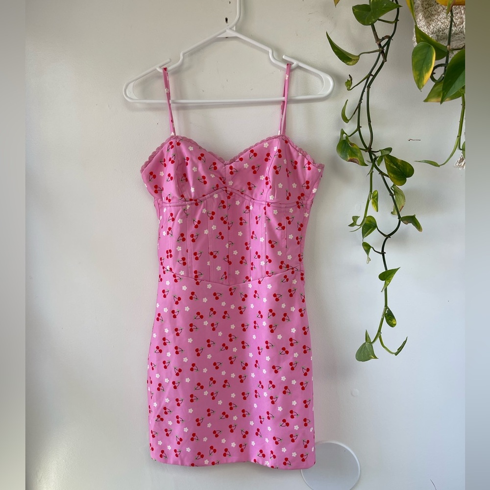 NWT tiger mist cherry dress